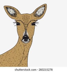 Cute deer, vector illustration