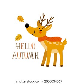 Cute deer wearing warm knitting red scarf. Hand drawn text Hello autumn. Funny forest cartoon animal, sweet reindeer, in scandinavian style. Vector illustration for kids isolated on white. Flat design