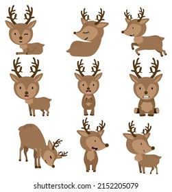 Cute Deers in different poses