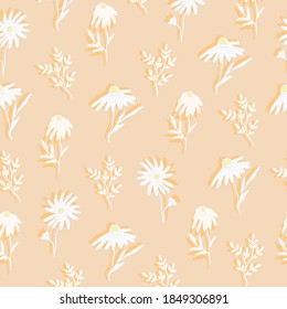 Cute delicate daisies by hand draw