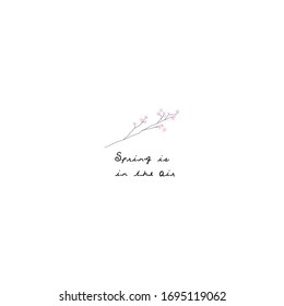 Cute delicate hand drawn Cherry Blossom Floral tree  branch illustration 