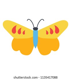 
Cute design of a butterfly having comma like patterns in upper wings, icon denoting comma butterfly 
