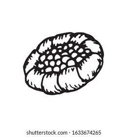 Cute dessert hand drawn vector doodle illustration. Black outlines Isolated on white background. Cute decorative element for cafe or restaurant menu design, food infographic and printed materials.