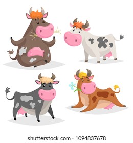 Cute different cows set. Standing, lying, relaxing and meditation poses. Chews green grass. Cartoon kid design style. Cheerful farm animals vector illustrations isolated on white background.