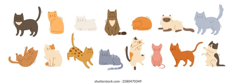 Cute different domestic cat set. Vector flat pets poses collection. Cat breeds big bundle.