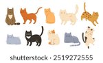 Cute different home cat set. Vector flat pets poses collection. Cat breeds bundle.