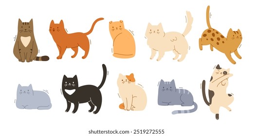 Bonito conjunto de gatos domésticos diferentes. Vetor animais de estimação plana possui coleção. O gato cria o feixe.