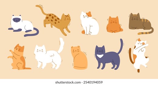 Bonito conjunto de gatos domésticos diferentes. Vetor animais de estimação plana possui coleção. Cartoon gato cria feixe.