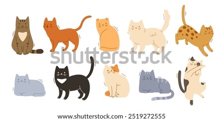 Cute different home cat set. Vector flat pets poses collection. Cat breeds bundle.