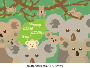 Cute different koalas sitting in the forest around big green leaf with message of World Wildlife Day. Can be used as greeting card or banner template. Vector illustration.