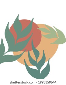 Cuidar diferentes plantas con diferentes colores