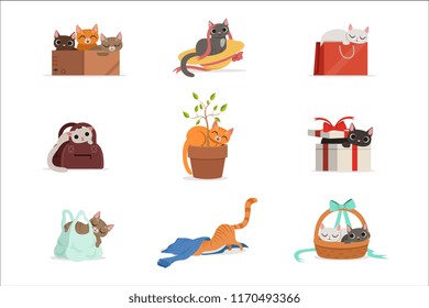 Cute differents cats having rest in their favorite places set of vector Illustrations