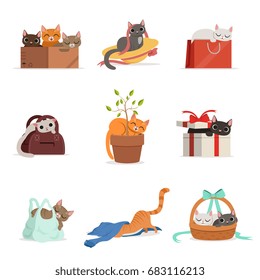 Cute differents cats having rest in their favorite places set of vector Illustrations