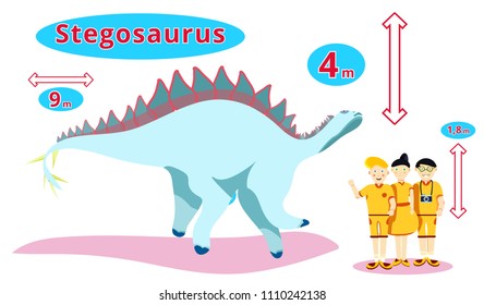 Cute Dinosaur stegosaurus.Flat cartoon illustration.Infographic of stegosaurus- Herbivore dinosaur. Stegosaurus. Happy family in compared with dinosaur: height, length. Dinosaur size in compared.