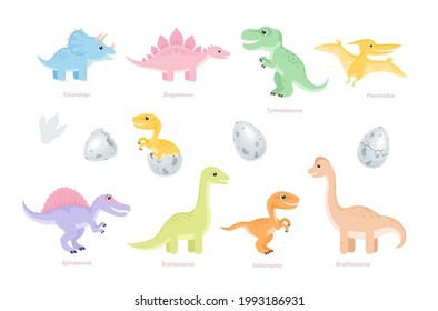 Geruchte Dinosaurier-Set. Einfache flache Vektorgrafik von Stegosaurus, Brachiosaurus, Pteranodon, Velociraptor, Tyrannosaurus, Triceratops, Brontosaurus, Spinosaurus. Neugeborene Dinosaurier schlüpften aus Ei.