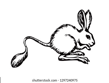 Cute Dipodinae mice Jaculus isolated on blue sky background. Freehand outline color hand drawn picture symbol sketchy in art retro scribble style. Closeup side view with space for text on sand