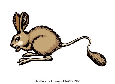 Cute Dipodinae mice Jaculus isolated on white sky background. Bright beige color hand drawn picture logo emblem pictogram symbol in art retro style. Closeup side view with space for text on sand