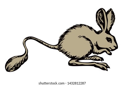 Cute Dipodinae mice Jaculus isolated on blue sky background. Freehand outline color hand drawn picture symbol sketchy in art retro scribble style. Closeup side view with space for text on sand
