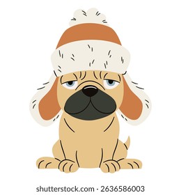 Cute disgruntled bulldog sitting in an ushanka hat. Flat vector illustration in simple children's style 