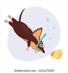 Cute diving dachshund with goggles exploring the undersea.