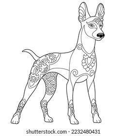 Cute doberman dog. Adult coloring book page in mandala style