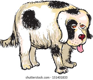 Cute dog 