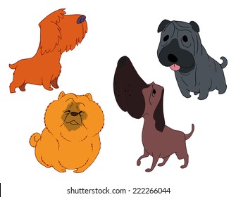 Cute dog dog dog
