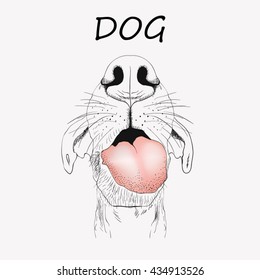Cute dog