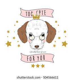 cute dog