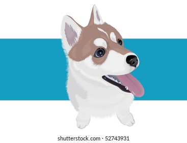 Cute Dog