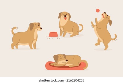 Cute dog activity set, dogs daily routine. Funny puppy is sleeping, playing ball, eating his food. Flat vector set