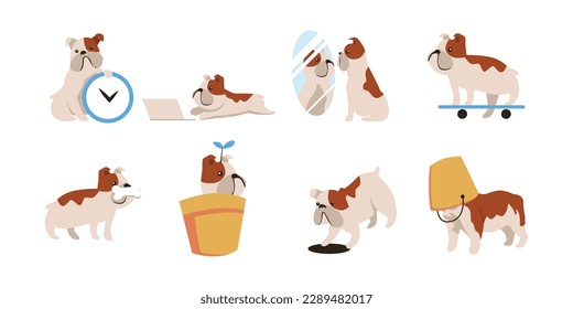 Cute dog activity set. Flat vector illustrations isolated on white background