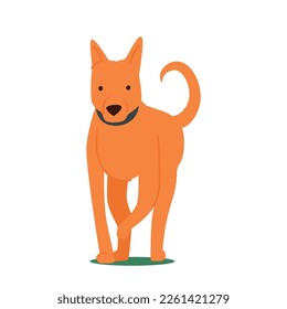 Cute Dog, Adorable Gold Puppy With Playful Expression Running Front View Isolated On White Background. Happy Pet Wear Collar Play And Fun on Street. Cartoon Vector Illustration