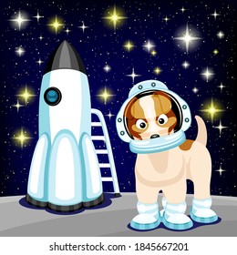 Cute dog in astronaut costume and space rocket on the background of the starry sky.