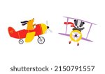 Cute Dog and Badger Animal Flying on Airplane with Propeller Vector Set