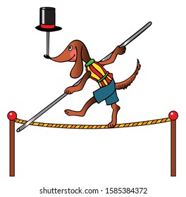 Cute dog is balancing on a rope on the circus arena. Colored vector for card or gift. 