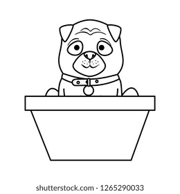 cute dog in basket