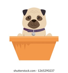 cute dog in basket