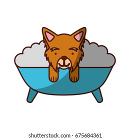 cute Dog bathing in the tub