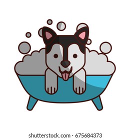 cute Dog bathing in the tub