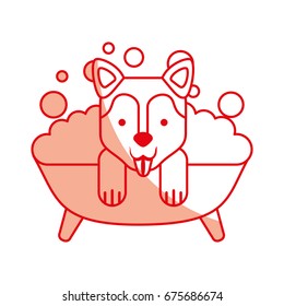 cute Dog bathing in the tub