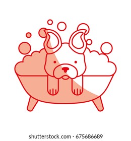 cute Dog bathing in the tub