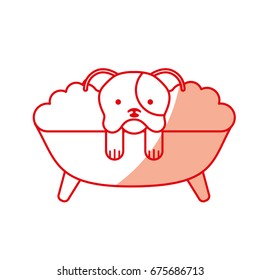 cute Dog bathing in the tub