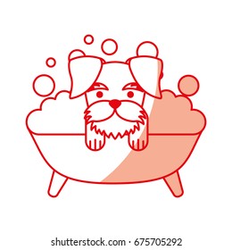 cute Dog bathing in the tub