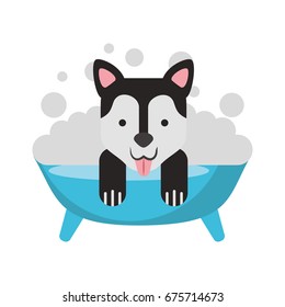 cute Dog bathing in the tub