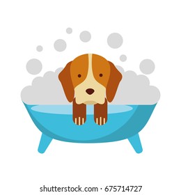 5,158 Dog in tub Images, Stock Photos & Vectors | Shutterstock