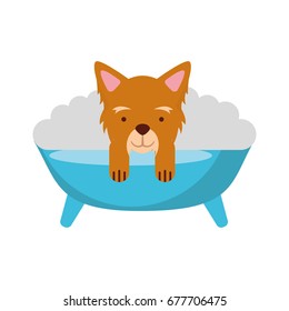 cute Dog bathing in the tub