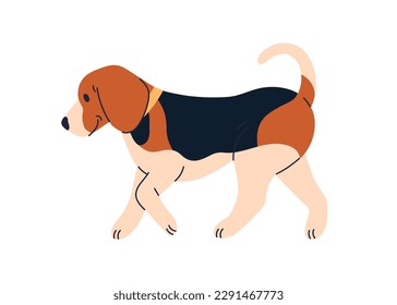 Cute dog of Beagle breed. Happy doggy profile, walking, going. Adorable puppy, canine animal, side view. Sweet lovely tricolor pup strolling. Flat vector illustration isolated on white background