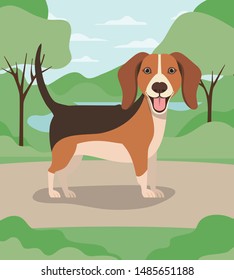 cute dog beagle pet in the camp