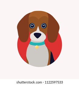 Cute dog. The beagle. Vector illustration in cartoon style.